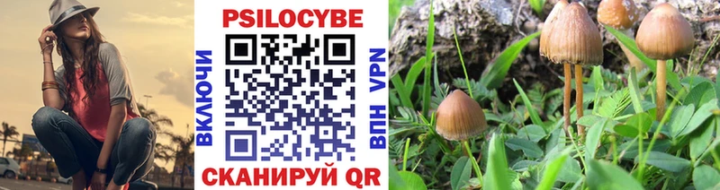 где найти   дарк нет Telegram  Галлюциногенные грибы Psilocybe  Старый Оскол 