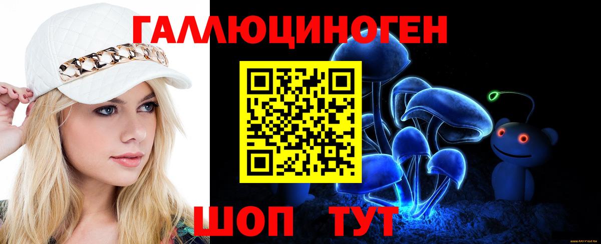 Галлюциногенные грибы Psilocybe Старый Оскол
